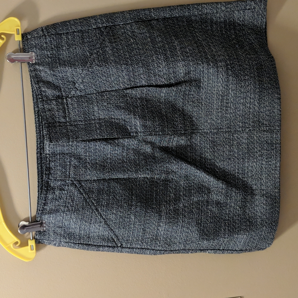 Ann Taylor skirt
